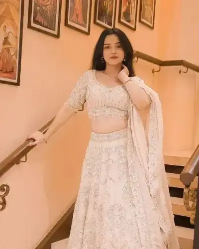 Escort Himmatnagar